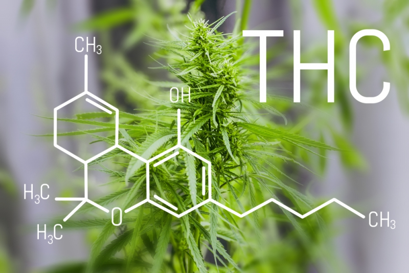 How Does THC Help With Sleep