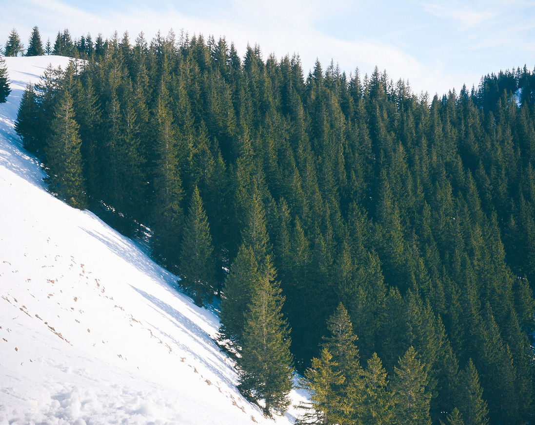 From the Slopes to the Science