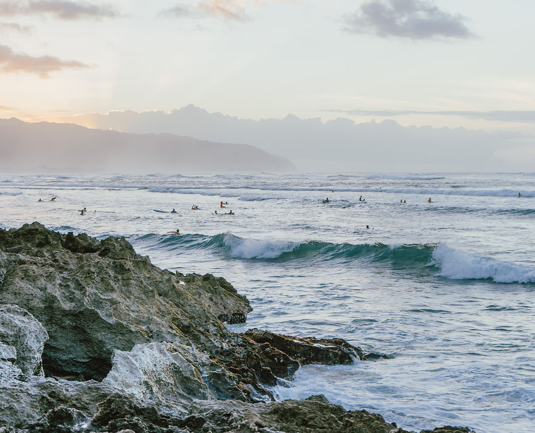 From the Surf to the Lab